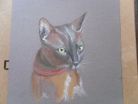 /album/chats/photo-001-jpg1/